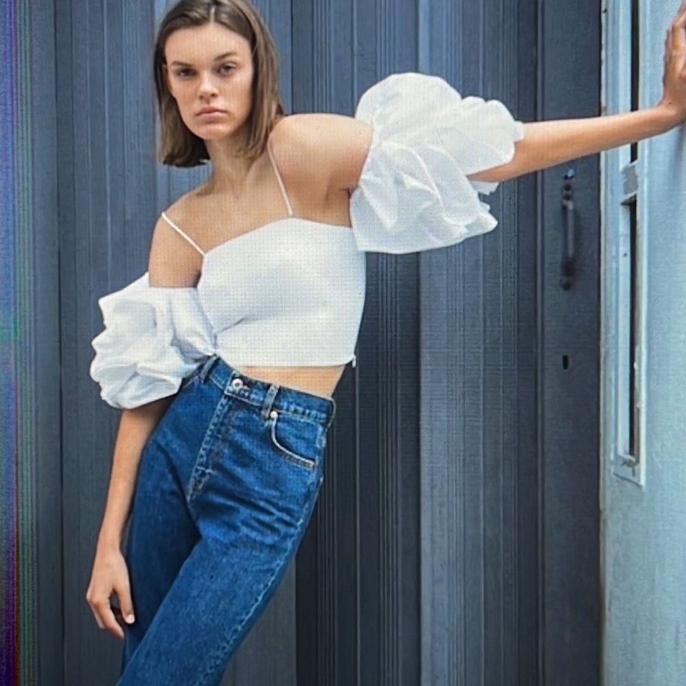 NWT poplin cropped ruffle top
